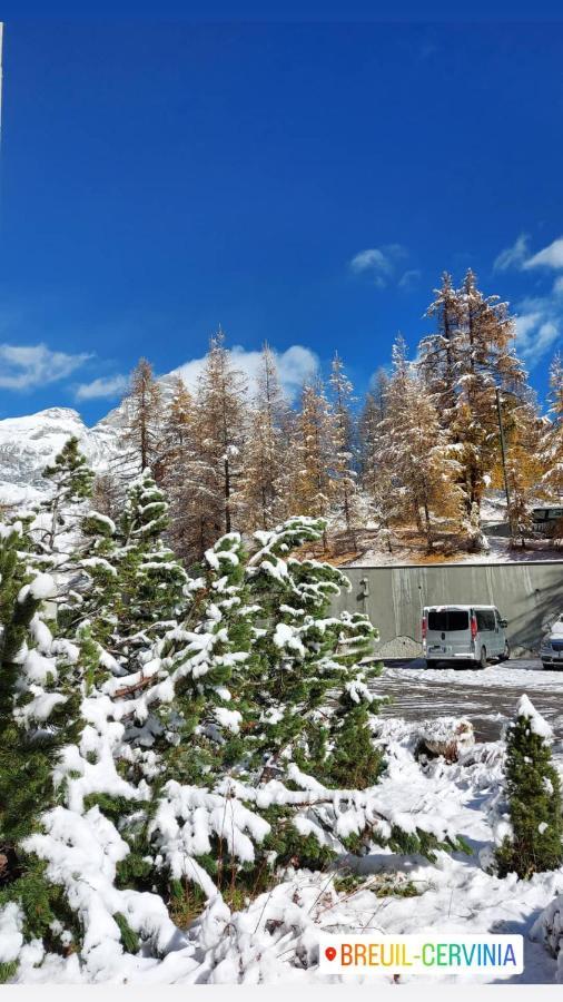 Le Petit Refuge Cervinia Apartment Breuil-Cervinia Exterior photo